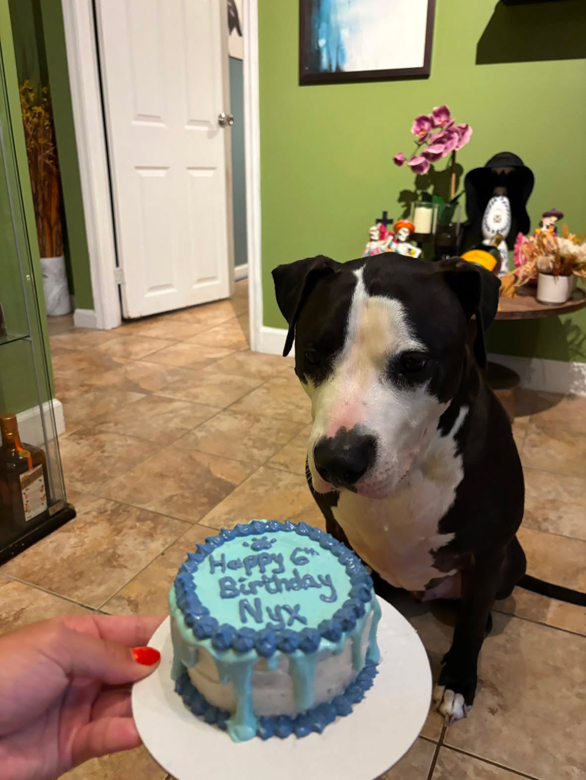 Custom Dog Cake