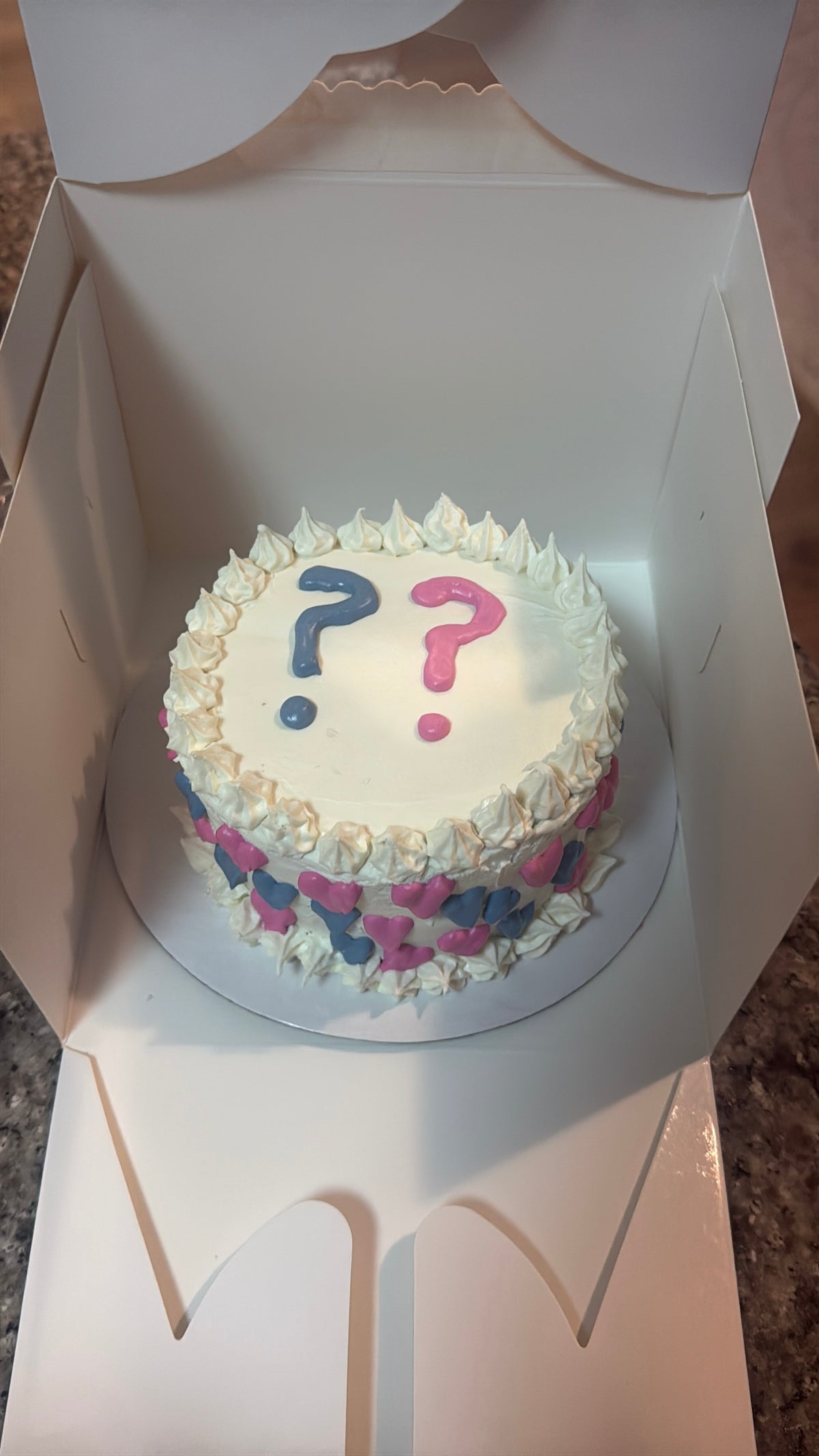 Gender Reveal Dog Cake